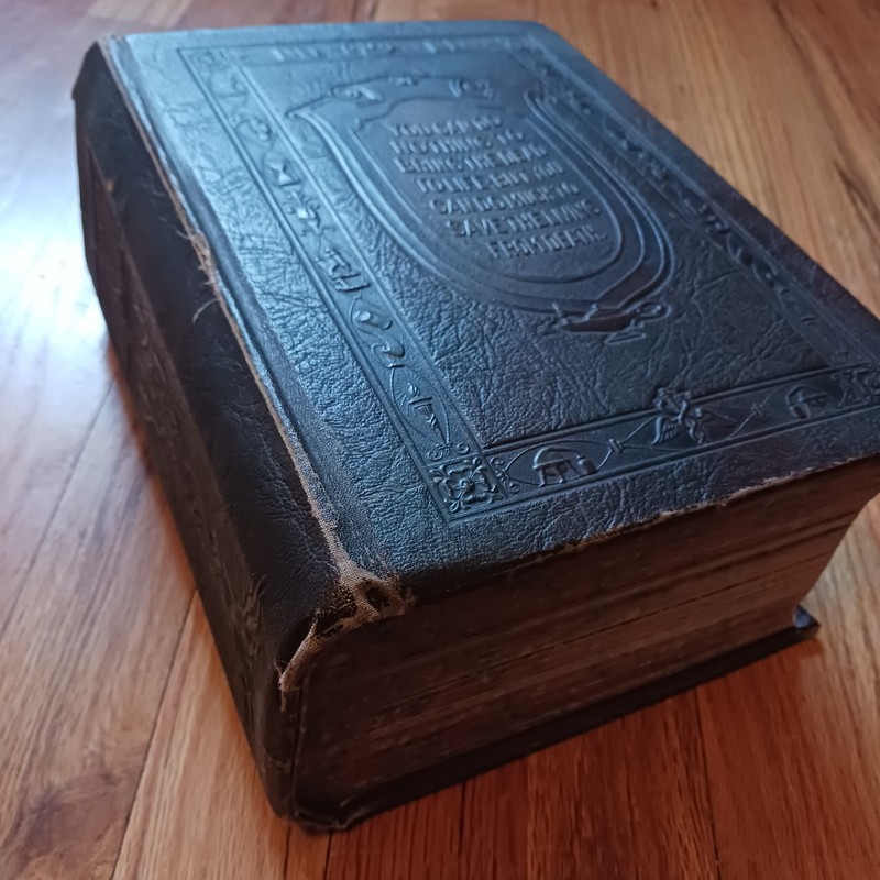 Antique Library of Health Medical Book, 1925 with Color Plates, Some Interactive gallery