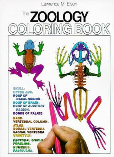 The Zoology Coloring Book – Paperback By Elson, Lawrence M. – GOOD