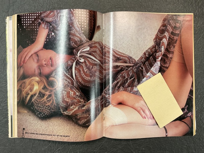 Penthouse Magazine January 1978 Special Issue Centerfold Intact Solid Condition gallery