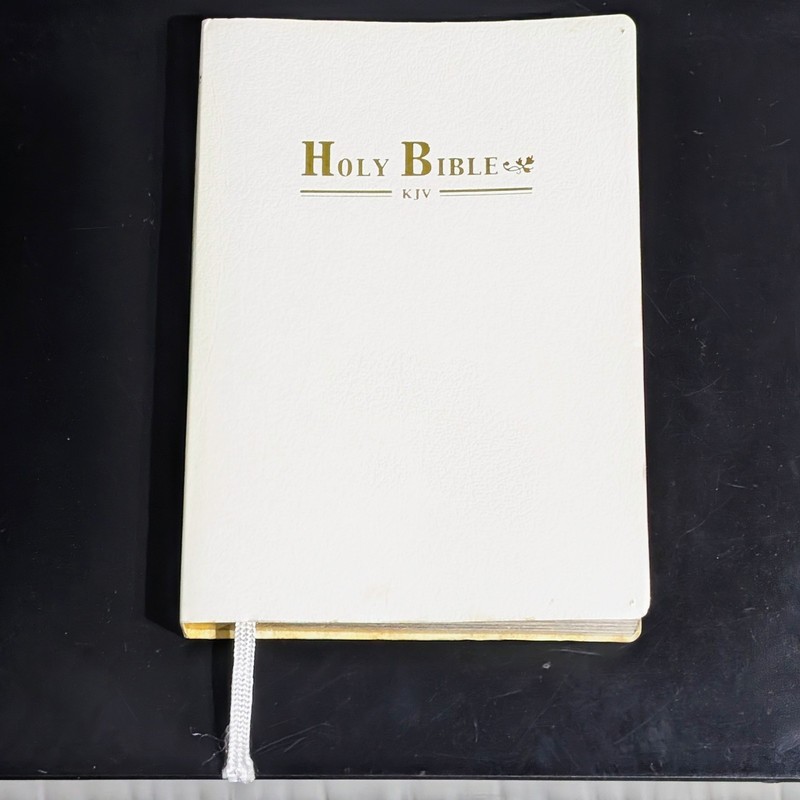 HOLY BIBLE King James Version Gold Gilded KJV White Gold Gilt Edge Unmarked