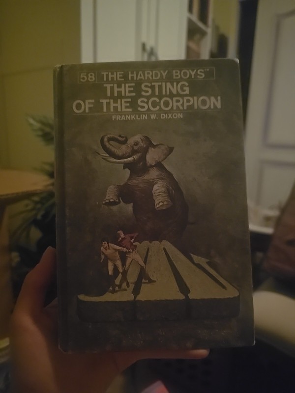 HARDY BOYS #58 The Sting Of The Scorpion 1979🔥VERY RARE MATTE COVER 1st Print? gallery