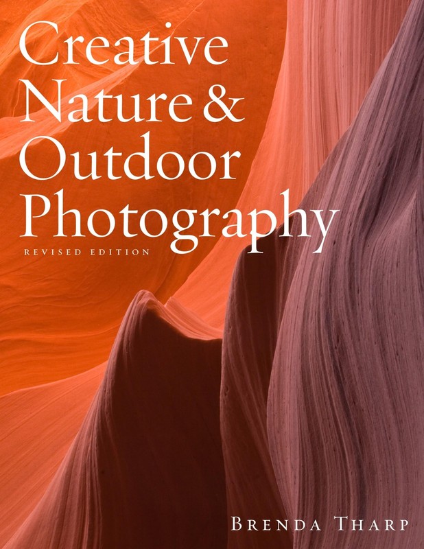 Creative Nature & Outdoor Photography, Revised Edition – paperback Tharp, Br…