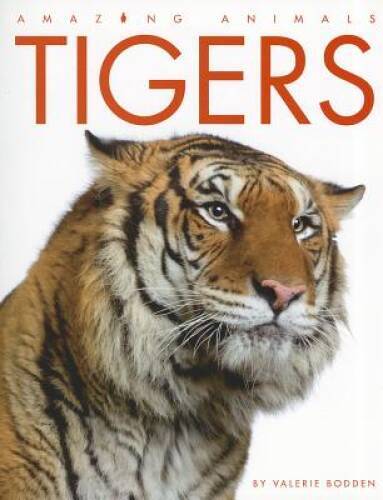 Amazing Animals: Tigers – Paperback By Bodden, Valerie – VERY GOOD