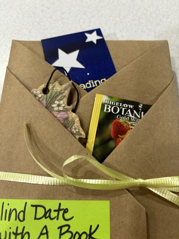 Blind Date With A Book - Paperback You Choose Genre Fun Gift Exciting Surprise gallery
