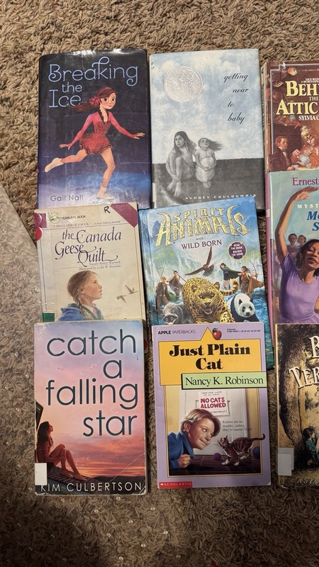 Lot of 11 Chapter Books for GIRLS Youth Reader, Young Adults RANDOM gallery