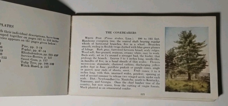 Wild Flowers of America & Tree Guide J. Harvey, Julia Rogers, Illustrated Books gallery
