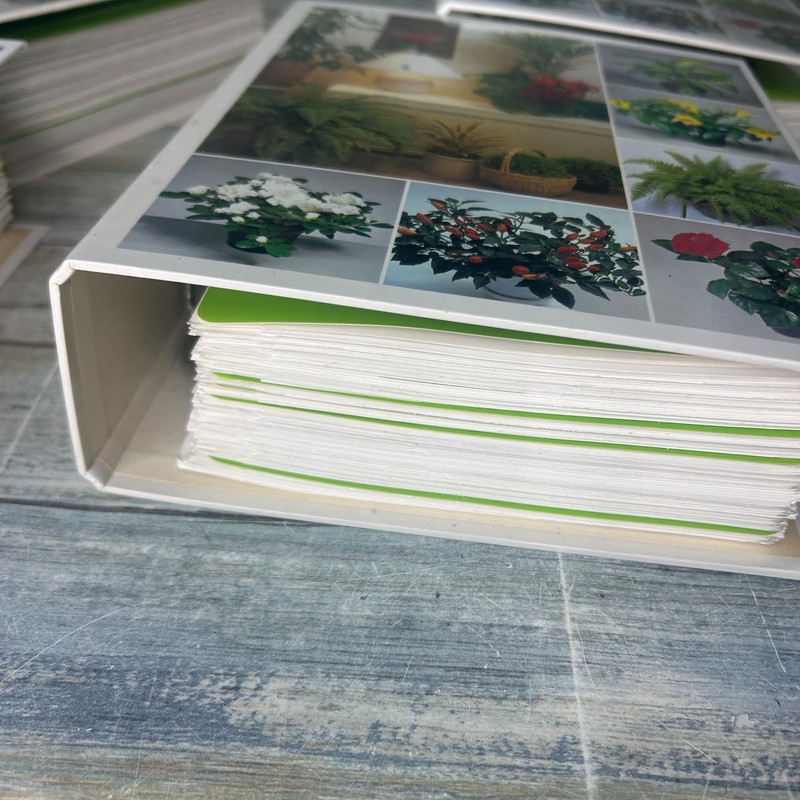 Success with House Plants 4 binders Sets 1 to 19 Plant Care Vintage gallery