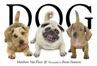 Dog, Van Fleet, Matthew, Very Good Book