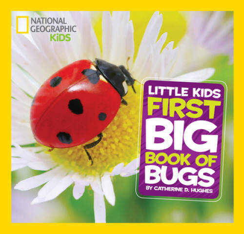 National Geographic Little Kids First Big Book of Bugs (National Geo – VERY GOOD
