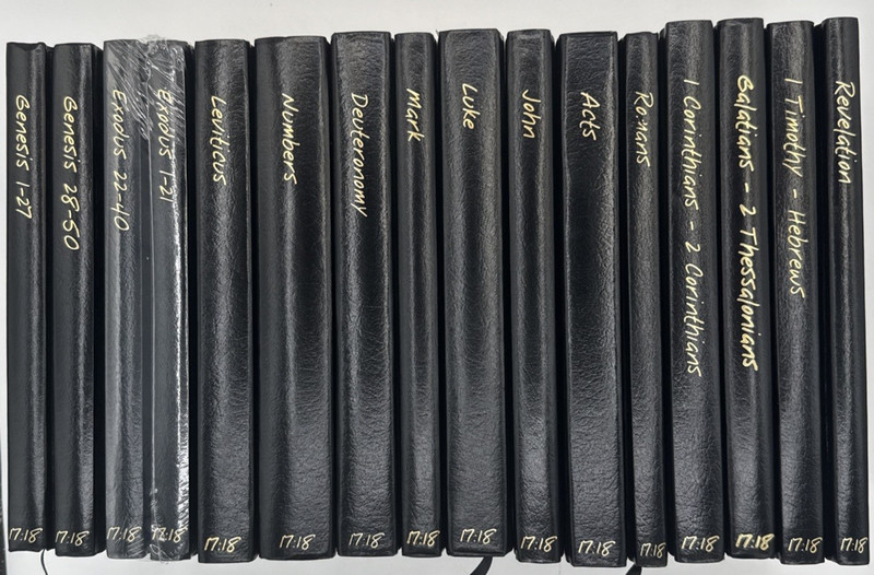 The 17:18 Series, 16 Book Bundle, by Rob Wynalda, Hardcover, B199
