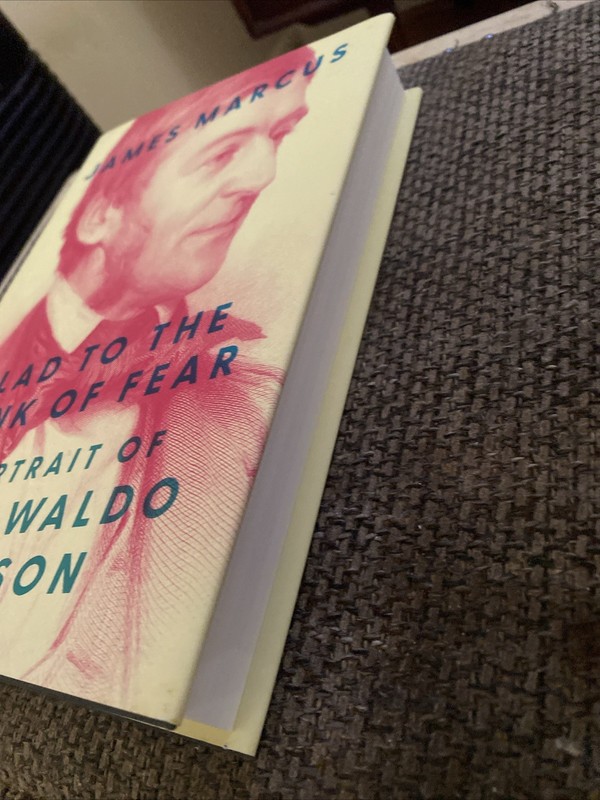 James Marcus Glad to the Brink of Fear A Portrait of Ralph Waldo Emerson gallery