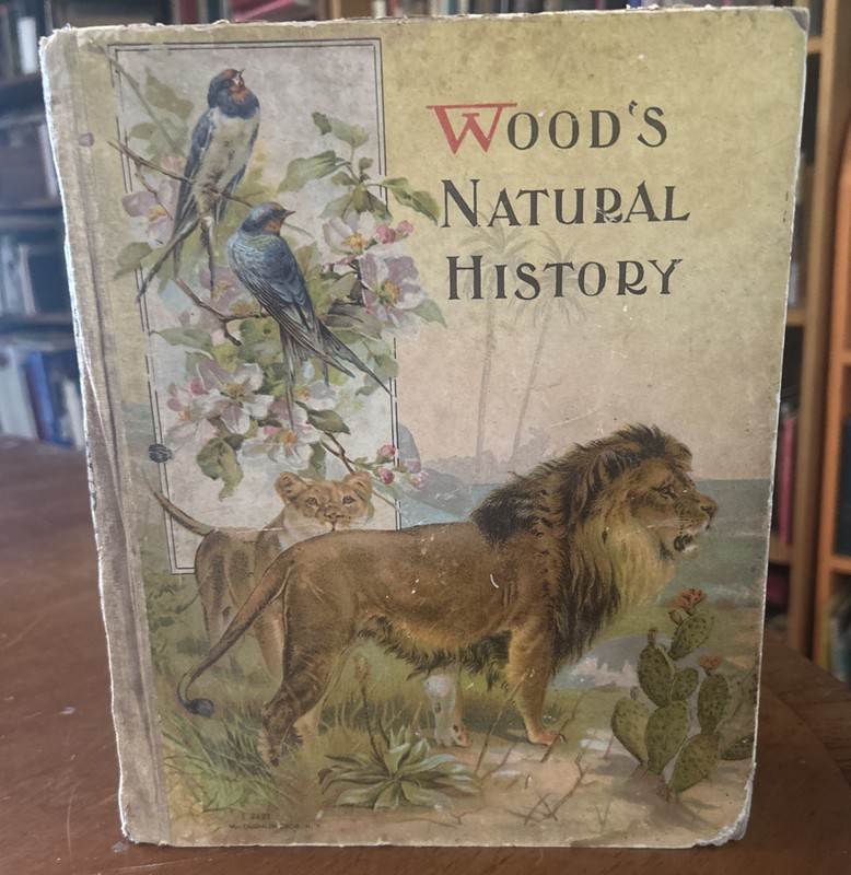 Wood’s Illustrated Natural History by J. G. Wood MCLoughlin Bros c1880