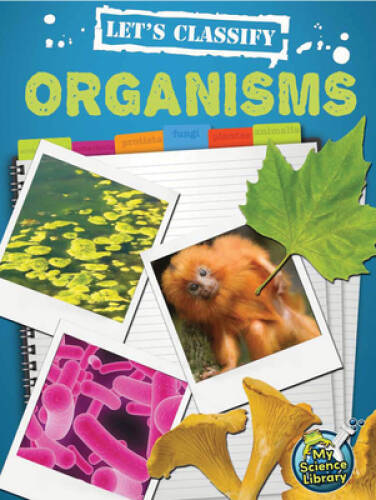 Let’s Classify Organisms (My Science Library, 3-4) – Paperback – GOOD