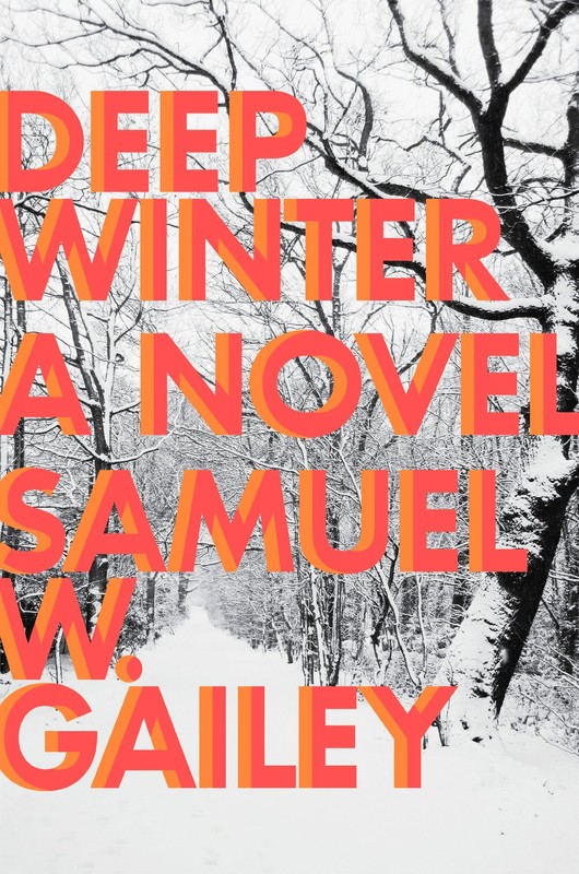 Deep Winter: a Novel