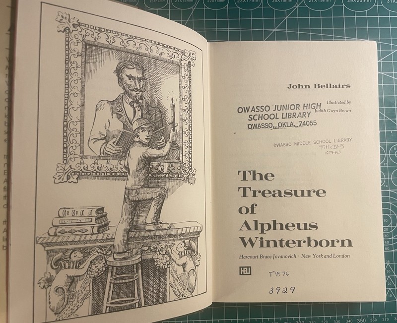 The Treasure of Alpheus Winterborn John Bellairs Judith Gwyn Brown Art HCDJ gallery