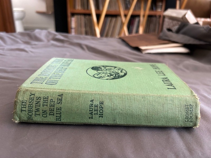 The Bobbsey Twins on the Deep Blue Sea by Laura Lee Hope (hardcover, 1918, 1E) gallery