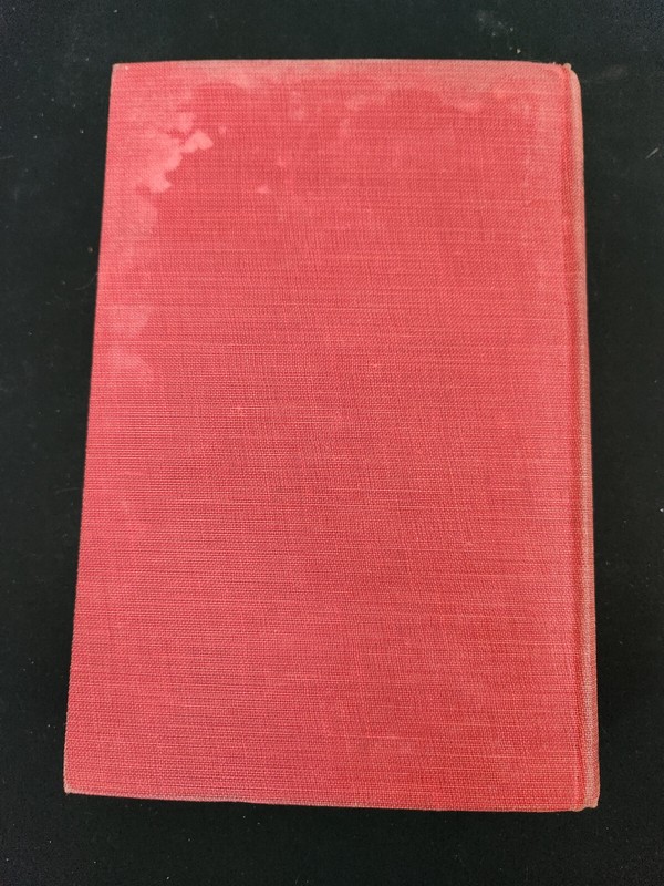 The Red Knight, Francis Brett Young, 1922, 1st Edition, HC gallery