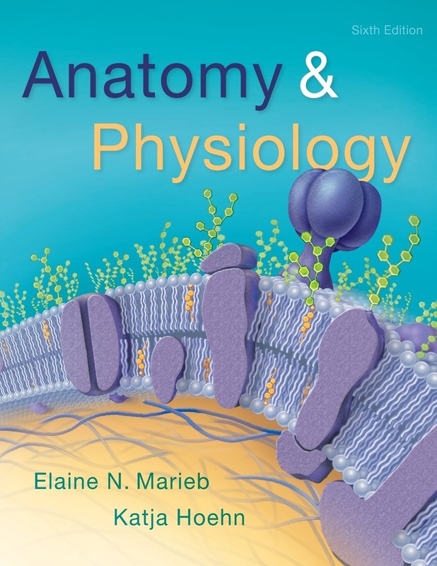 Anatomy & Physiology (6th Edition)