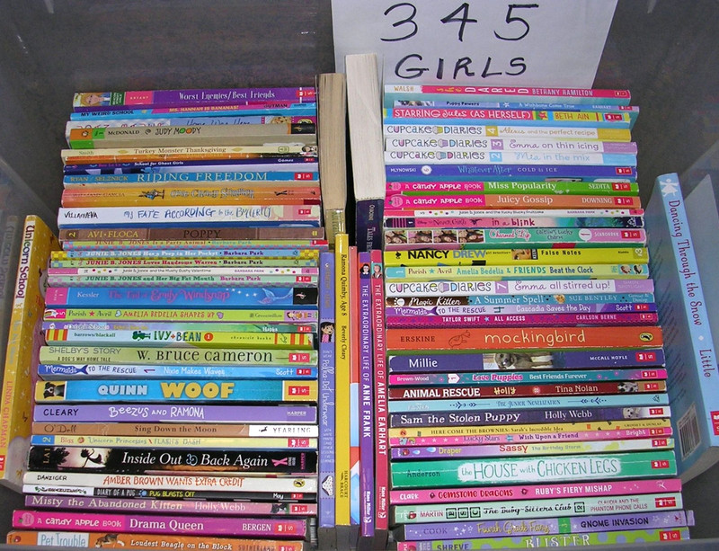 Random Lot 20 GIRLS Reading Level 3rd 4th 5th Grade Chapter Books FREE SHIP gallery