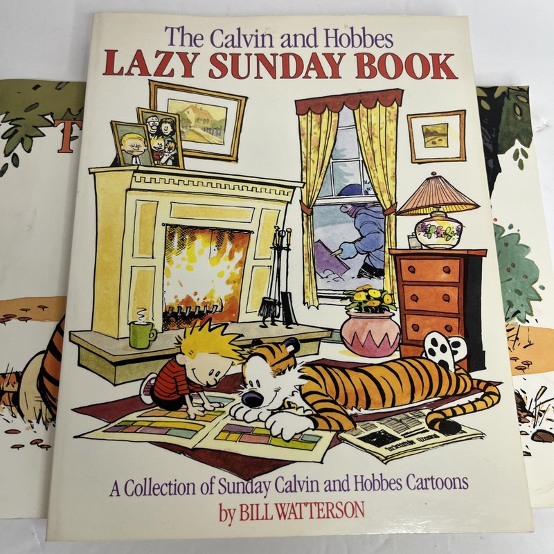 Vtg Calvin and Hobbes Collection Book Lot of 5 gallery