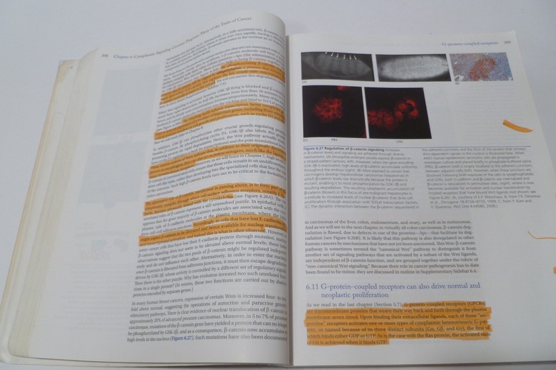 The Biology of Cancer, 2nd Edition Robert Weinberg Acceptable Condition gallery