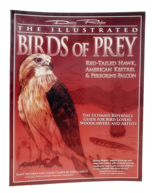 Illustrated Birds of Prey: Red-Tailed Hawk, American Kestral, & Peregrine Falcon