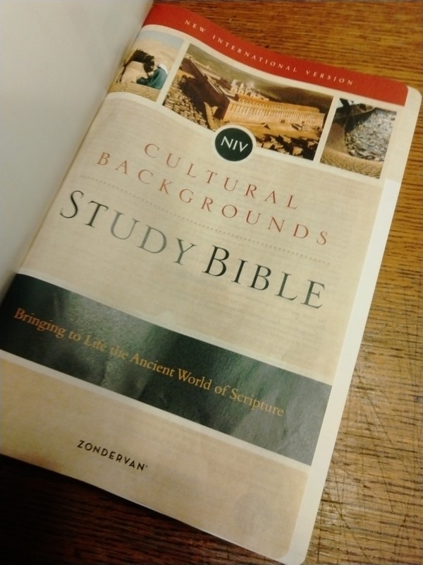 Zondervan NIV Cultural Backgrounds Study Bible Leathersoft Green gallery