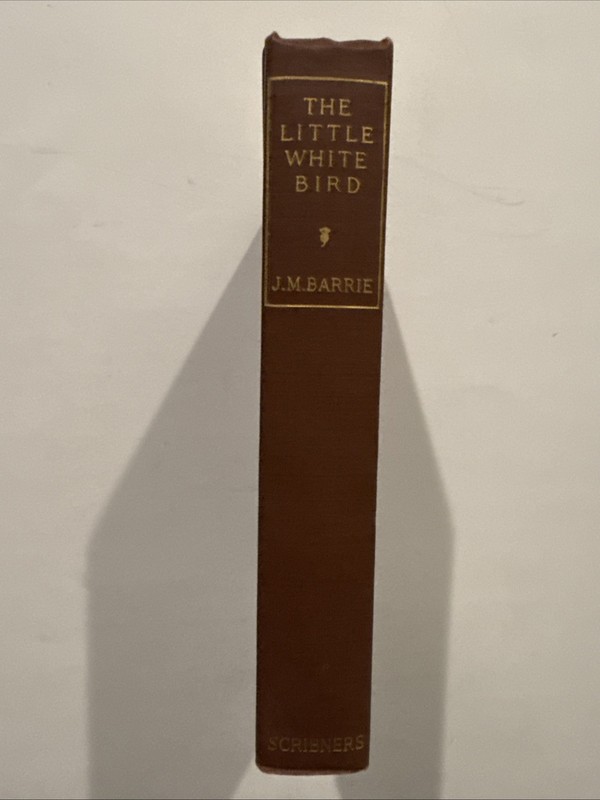 The Little White Bird 1913 J.M. Barrie Arthur Rackham Illustrated HC Scribner EX