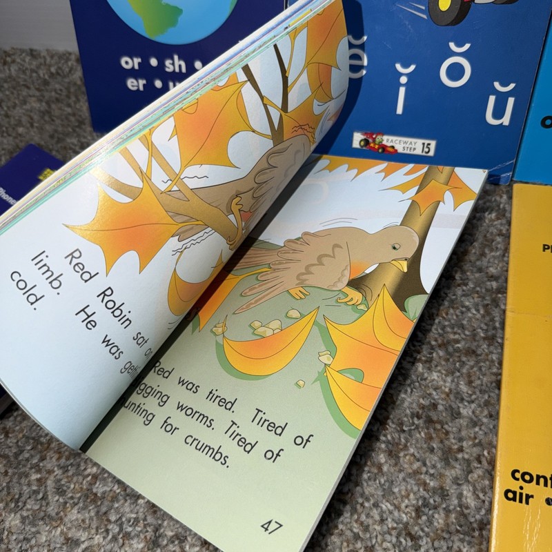 Lot Of 6 STORYBOOK 6, 9, 11, 13 15 16 SING SPELL READ AND WRITE Readers Phonetic gallery