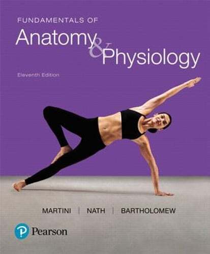 Fundamentals of Anatomy & Physiology by Frederic Martini: Used