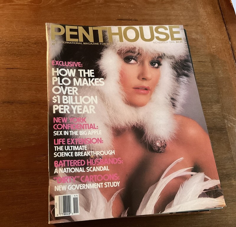 Penthouse Magazine November 1986 Beth Snyder Centerfold / Great Condition
