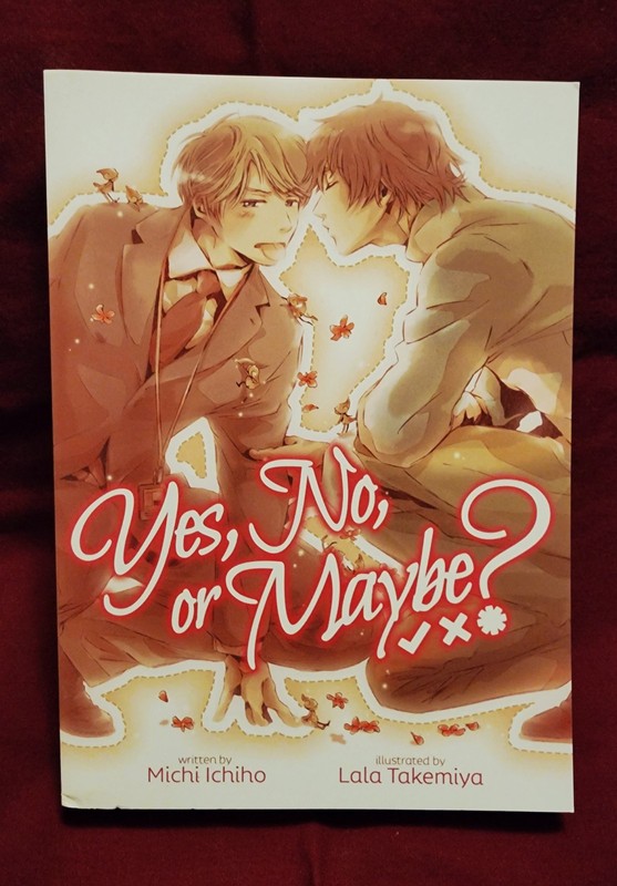 Yes, No, or Maybe? by Michi Ichiho BL Illustrated light novel, Yaoi light novel