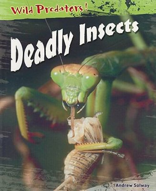 Deadly Insects Paperback Andrew Solway