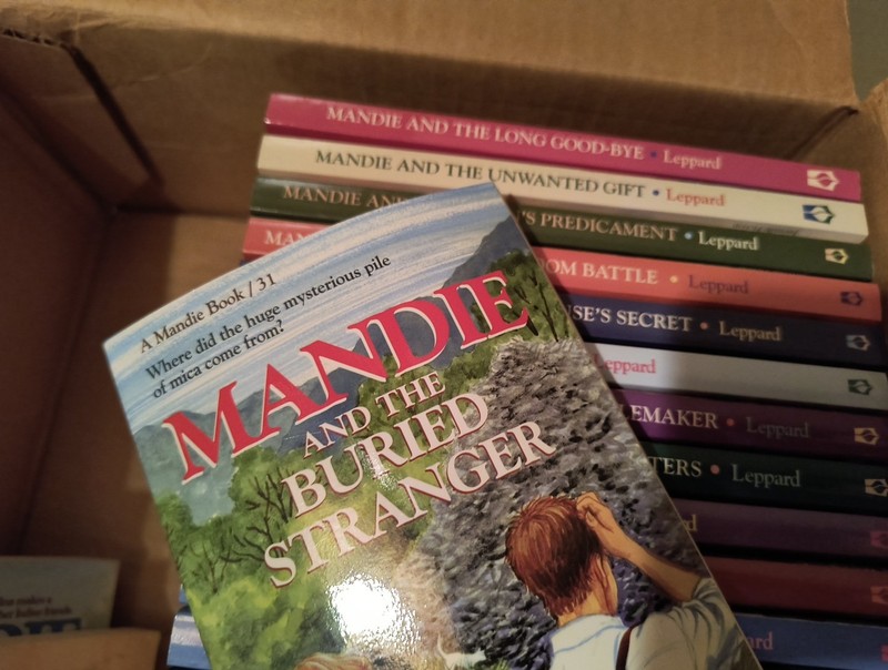 Lot of 31 - Mandie Books by Lois Gladys Leppard Paperbacks 1-31 gallery