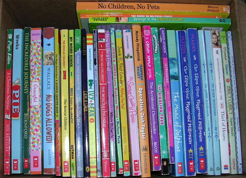 Random Lot 20 GIRLS Reading Level 3rd 4th 5th Grade Chapter Books FREE SHIP gallery