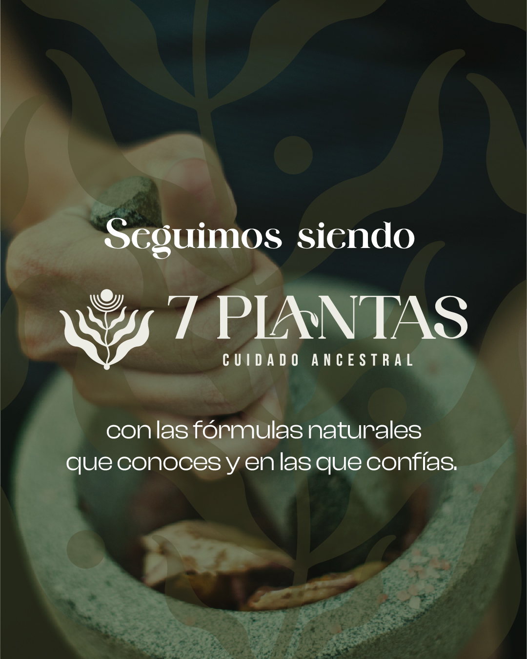 PLANTILLA WEB DOKU 7 PLANTAS-03
