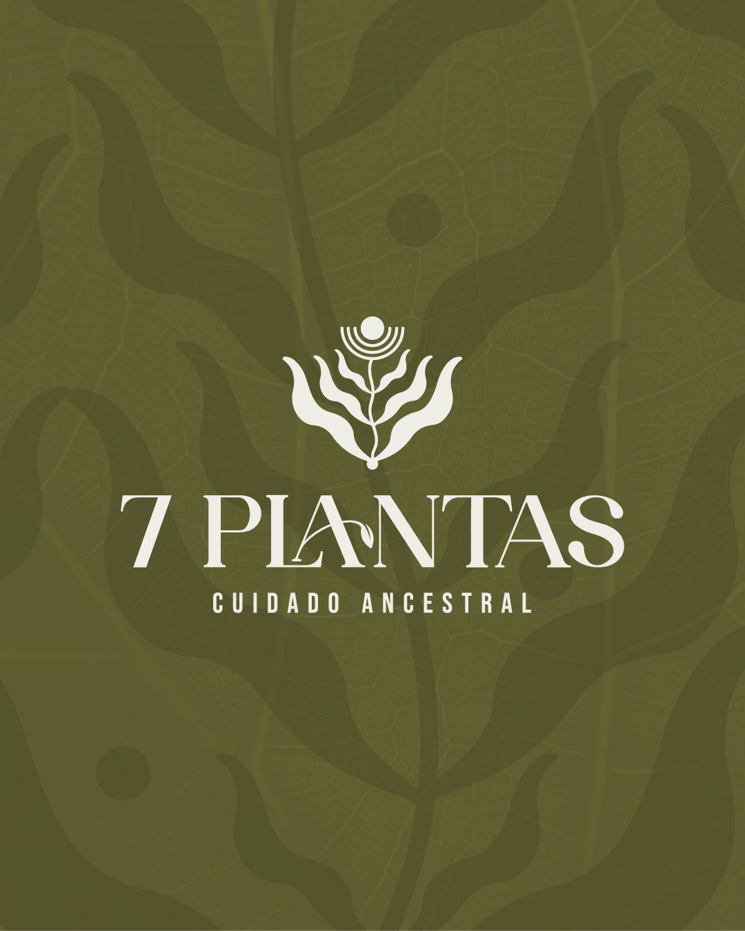 PLANTILLA WEB DOKU 7 PLANTAS-04