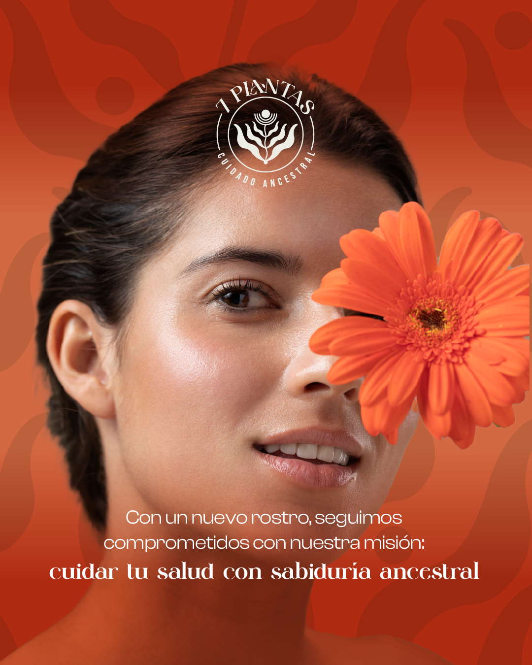 PLANTILLA WEB DOKU 7 PLANTAS-05